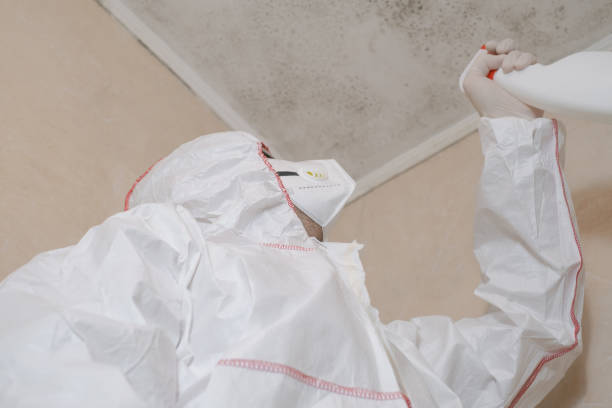 Best Mold Removal Process  in Vinton, LA